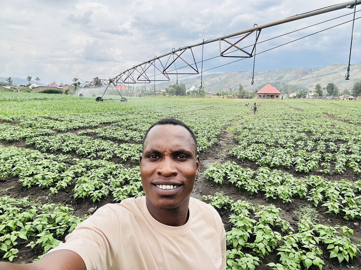 diharagirimana's tweet photo. Unpredictable rainfall can disrupt an entire production season. Don’t depend entirely on rainfall; improve water harvesting, irrigation, soil moisture conservation, and drought-resilient practices. https://t.co/cXTE0jSjWr