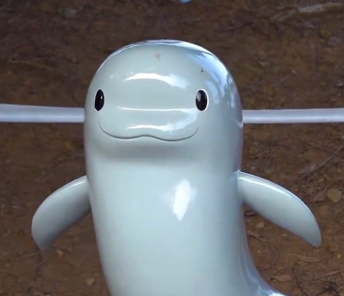 flowerybob's tweet photo. sungjin is the real beluga man 😭😂 https://t.co/mUKsGFaaZd