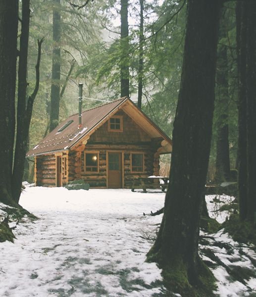 cabinsmountain's tweet photo. The cabin doesn’t need a large yard or elaborate landscaping when the forest itself provides the backdrop, shelter, and privacy. https://t.co/14NtKRh1PM