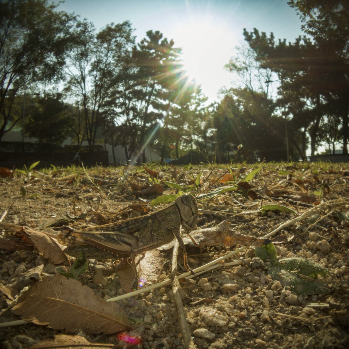 asocialant's tweet photo. Gopro lens https://t.co/TNcMNCcoQT