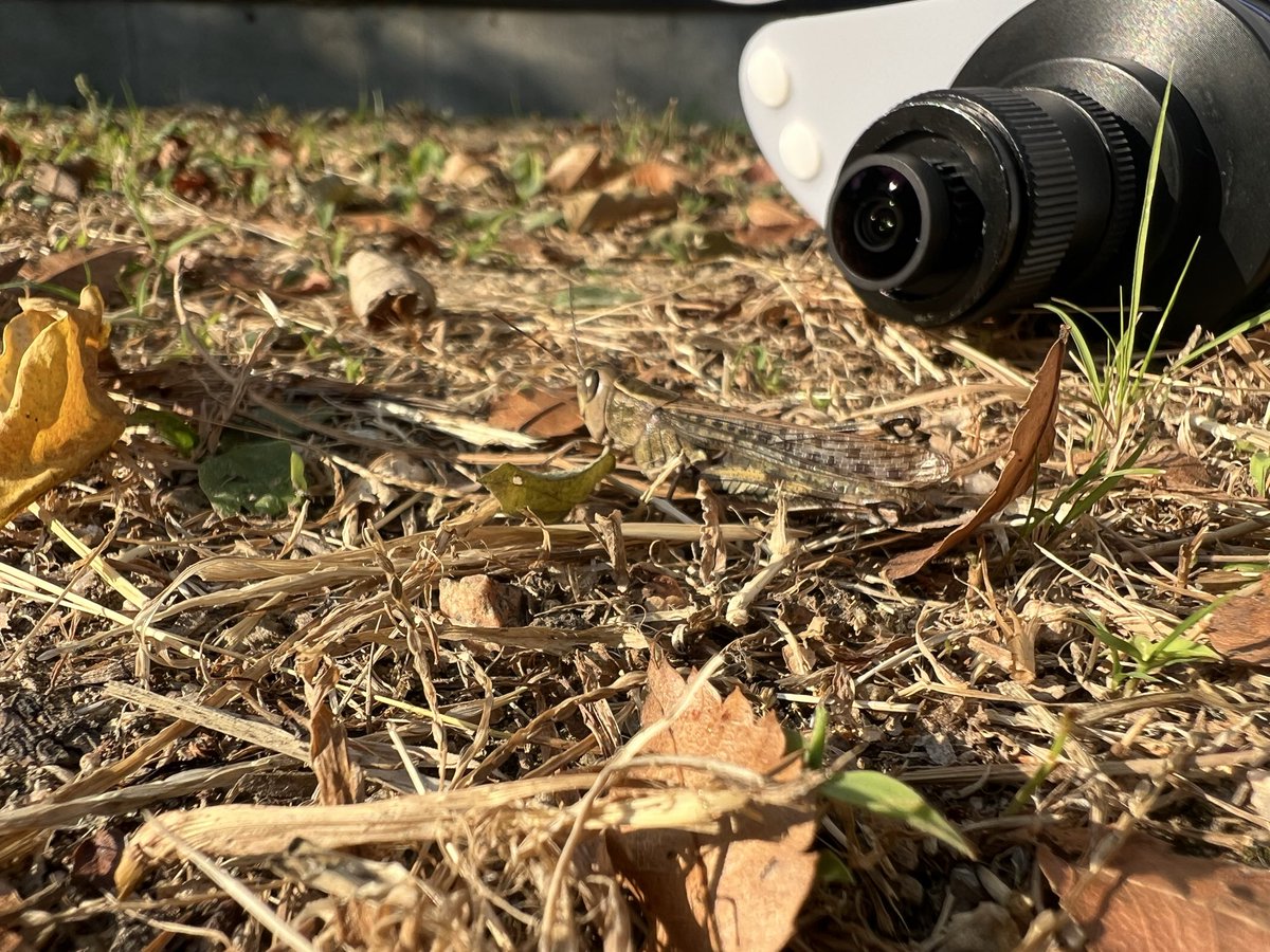 asocialant's tweet photo. Gopro lens https://t.co/TNcMNCcoQT