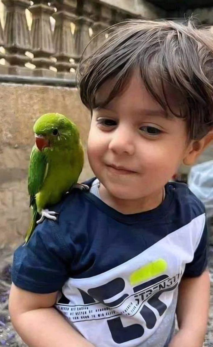 ahmethz1453's tweet photo. İşte "sabah akşam" demeden,
Şu Masum Canlara kıydı,
Kahrolası lanetli samirinin işgalci sırtlanları. https://t.co/2t6F7AI6SI