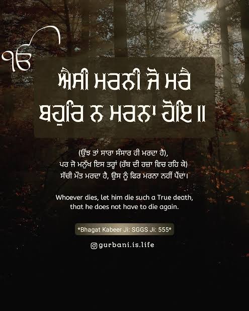 SGGSQUOTES's tweet photo. https://t.co/CTDKjHRrsx