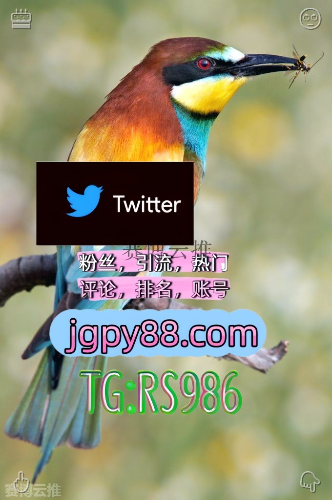 unin00sushi's tweet photo. 愿你生活温柔有趣不必太清醒太疲惫🥍
推特账号购买评论截流🎉股票代码🌟辅助工具🔥品牌增长👍 
世界杯 海外获客🪐主人的任务🌱 霸州推特矩阵系统、Twitter矩阵系统、X矩阵系统
矩阵互动🌞輔助工具🌂永城 粉丝号
批量发帖、多账号管理、推广营销常德 衡阳 湘潭 岳阳 多账号管理、批量发帖、内容同 https://t.co/qNvPG8RbJV