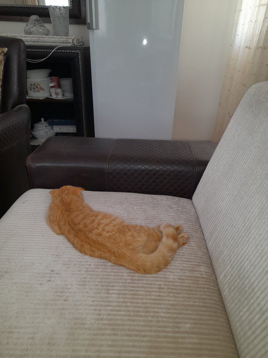 john_ben007's tweet photo. biz hep yatıyoruz 🥱🥱🥱😴😴😴 https://t.co/8Mi2a1PU4S