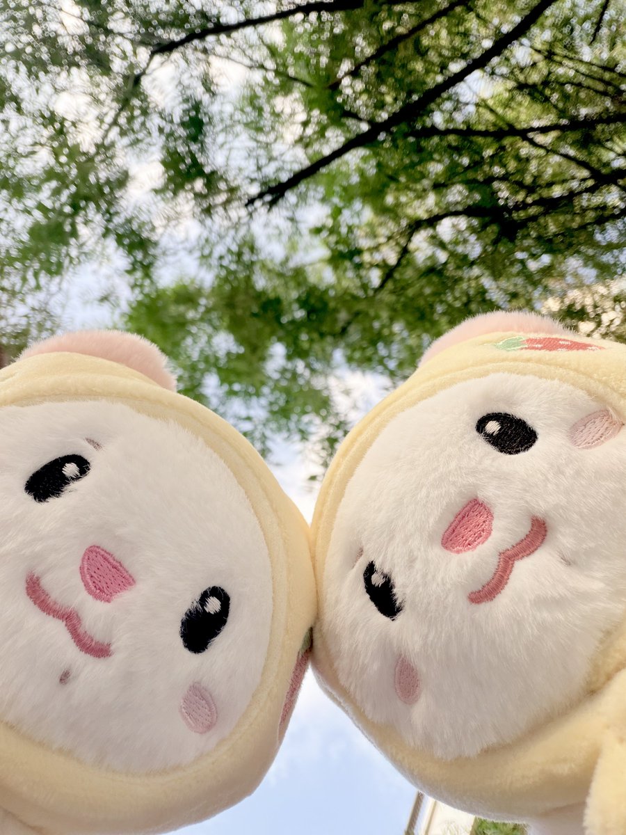 F0RYU1107's tweet photo. 쪽이 도시락 싸서 쪽이 인생 첫 한강 나들이 왔어요 💗💗 고양이도 족이한테 쪽..♡ 해줌 ㅋᩚㅋᩚ https://t.co/e2rRPDy2as