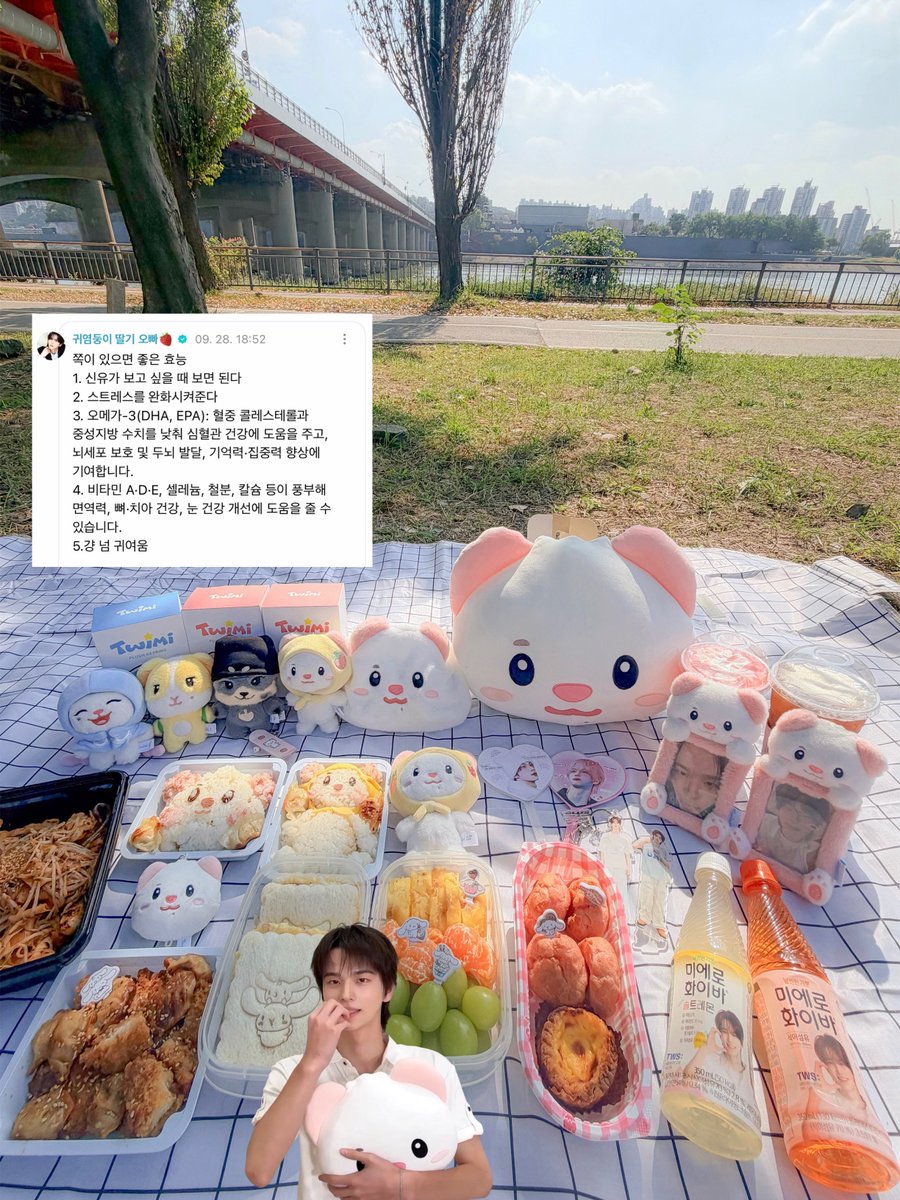 F0RYU1107's tweet photo. 쪽이 도시락 싸서 쪽이 인생 첫 한강 나들이 왔어요 💗💗 고양이도 족이한테 쪽..♡ 해줌 ㅋᩚㅋᩚ https://t.co/e2rRPDy2as