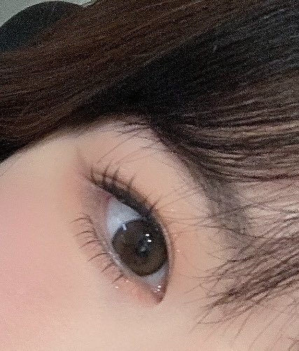 urmycupiddd's tweet photo. 직경은 13.6인데 저는 좀 더 크게 느껴졌어요🫶🏻 
렌즈 그래픽에 다람쥐 털 무늬가 보이는데 이게 너무 귀여움..

제 원픽은 칩칩,,🫰🏻 제 눈동자 색이랑 비슷한데 그래서 그런가 더 자연스럽고 원래 눈이 똘망하게 태어난 사람 같음🤭

넛넛브라운은 가까이선 요런 느낌! https://t.co/bHI5xzlwCR