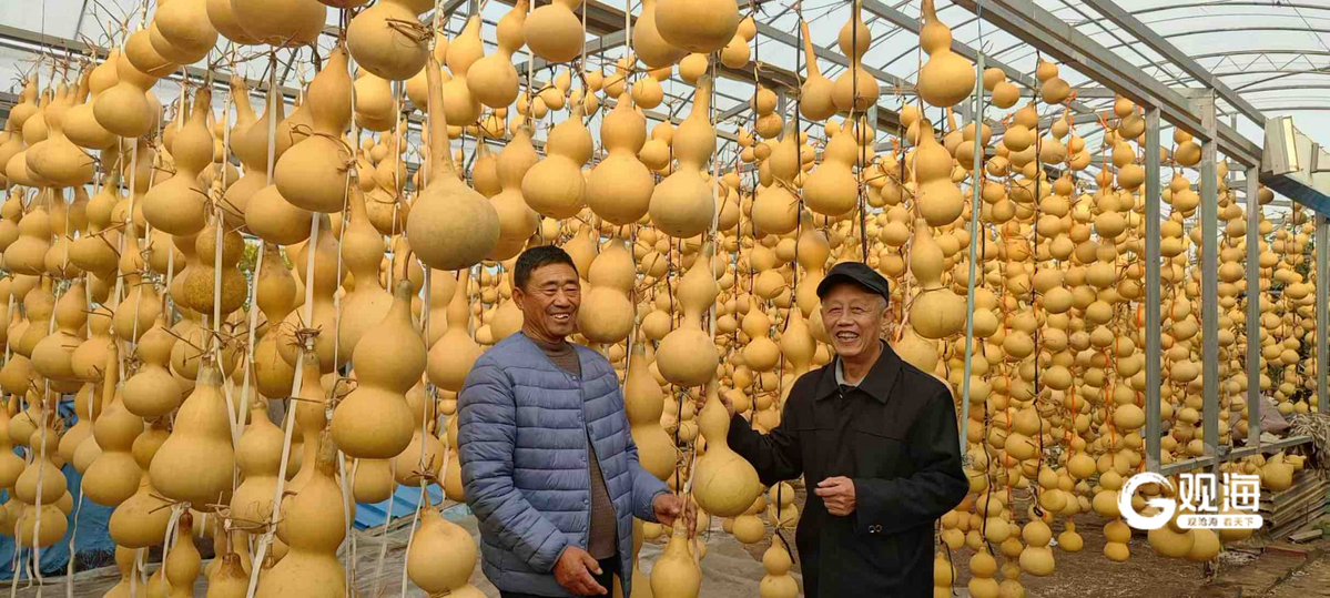 the_april93's tweet photo. Just started admiring the fancy carved gourd while looking for the way to cross the small hill. https://t.co/jmog8sfDN6