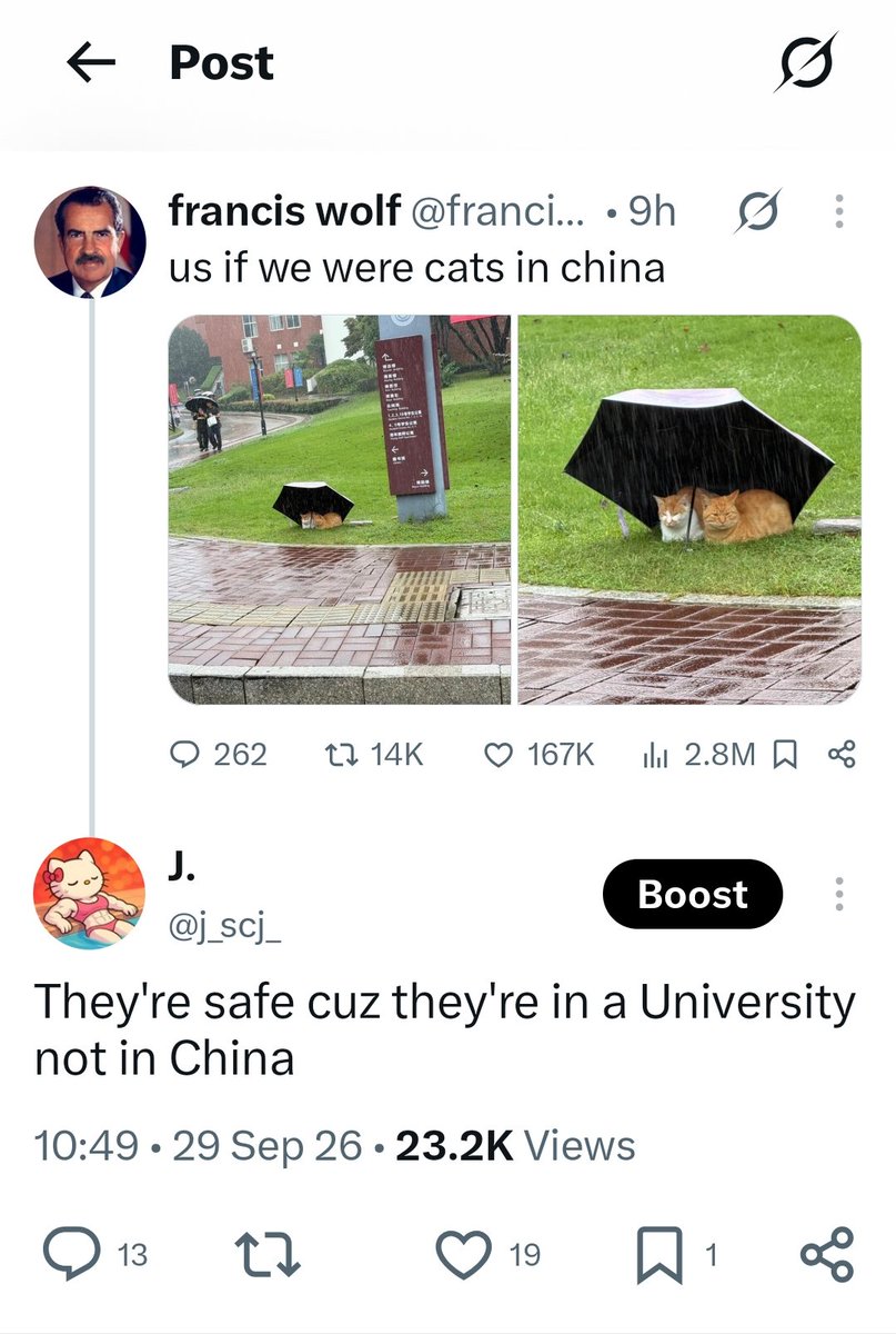 j_scj_'s tweet photo. 这句话的含义很难理解吗？怎么总有人骂我恨国蛆🤣
难道我表达的含义不是：小猫安全的原因是因为它们在大学内，跟在不在中国无关
很显然我针对的是francis言论中强调的in China，至于国内流浪猫的境遇还需要我多废话吗🤓☝️
让你们学点英语吧跟害了你们似的，真想架枪给这帮傻子突突了 https://t.co/jc8ShBIpav