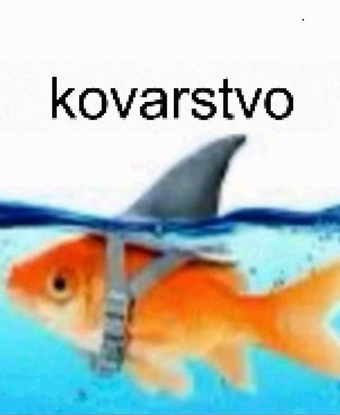 chernilo_chek's tweet photo. я хочу ощущаться как это рыбка пожалуйста https://t.co/pUW9aevlIi