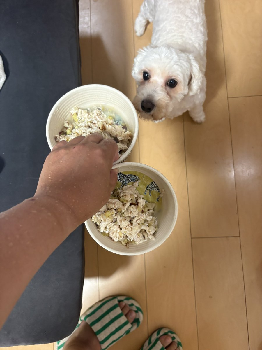 FrowerFrower523's tweet photo. https://t.co/zIpPN6eeMg
