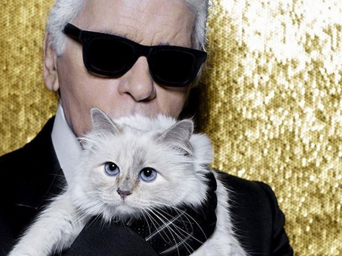 PKitsamoej9164's tweet photo. นึกถึงน้องแมว 'ชูเพ็ตต์ (Choupette)' ของอดีตดีไซน์เนอร์ที่ล่วงลับของ Chanel คุณ Karl Lagerfeld น้องเป็นแมวสายพันธุ์ Birman สีขาว ตาสีฟ้า

หลังจากที่คุณ Karl เสียชีวิตในปี 2019 มีข่าวลือว่าน้องได้รับพินัยกรรมจากคุณ Karl ทำให้น้องกลายเป็น 1 ในสัตว์เลี้ยงที่ร่ำรวยที่สุดในโลก

น้องมีผู้ดูแลส่วนตัว มีตารางงาน และเคยร่วมงานแคมเปญโฆษณาแฟชั่นโชว์ รวมถึงมีผลิตภัณฑ์เป็นชื่อตัวเองด้วยค่ะ

ปัจจุบันนี้น้องอยู่กับอดีตแม่บ้านคนสนิทของคุณ Karl ค่ะ