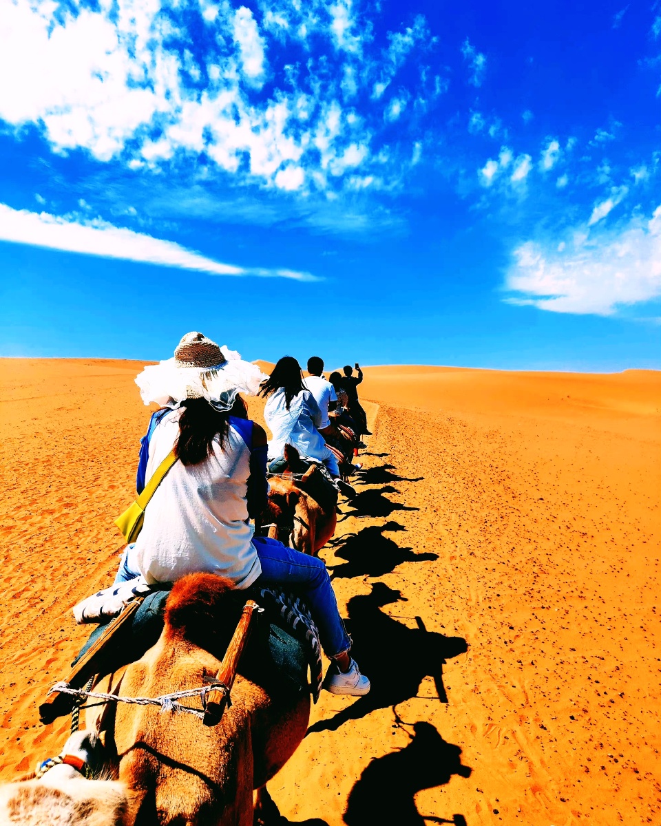 glori_uxe887's tweet photo. In a heartwarming Camel Trek in Hungary, travelers bask under the gentle blue sky with the cozy, welcoming vibe of a suitable journey. https://t.co/hfsUUayiG5