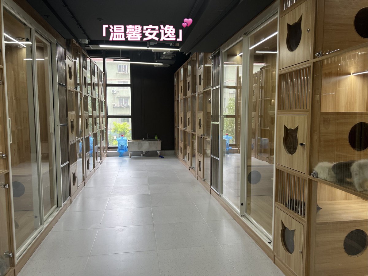 glor_solar's tweet photo. [I saw a cute animal feed at the pet shop, but the shelf wasn't载 with any stock today! Wait, did I read the sign right] https://t.co/jAW3DCep9Y