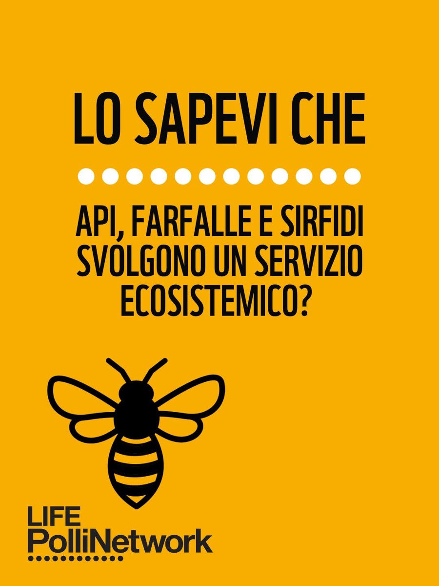 StradeAnas's tweet photo. 🐝Infrastrutture e biodiversità #LIFEPolliNetwork

🌿#Anas realizza le "Buzz Lines", corridoi ecologici per lo spostamento degli impollinatori e la connessione degli habitat. 
@wwfitalia @ispra_press @TernaSpA @Copagri @ReteFerroviaria  @Unipisa @UniBo

👉 https://t.co/aKWzfUfpoN https://t.co/ZCPKhZkokG