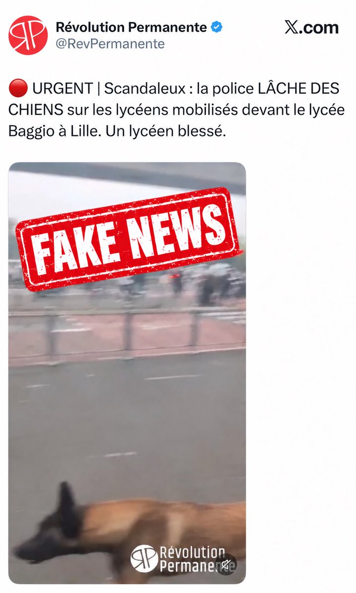 Image de Préfecture de la région Hauts-de-France et du Nord - 🔴 Une vidéo circule sur les réseaux sociaux et affirme que "la police lâche des chiens sur des lycé