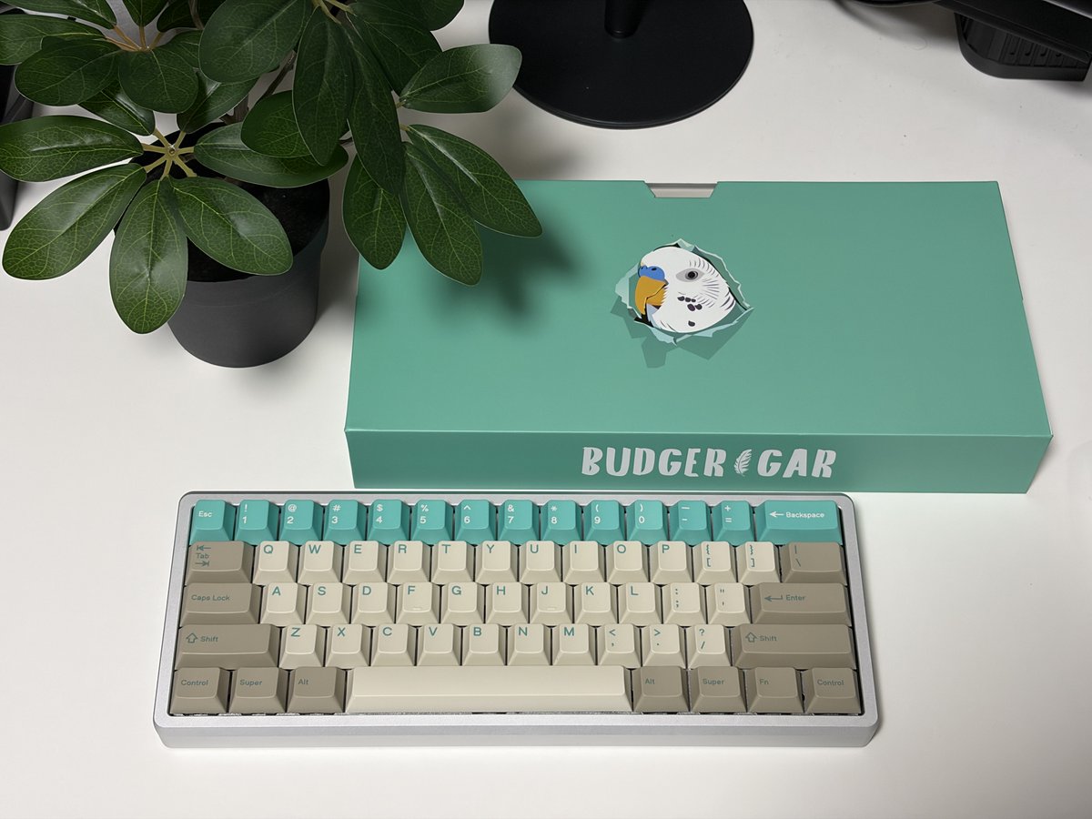 GLASSPADMAN's tweet photo. my new keyboard🦜

pcb:Wooting 60HE v2
case:GEONWORKS Frog Mini Leggera T Silver
switches:WS Flux Heart of the Ocean
plate:Aluminum
stabs:Typeplus x YIKB 
keycaps:PBTfans Budgerigar https://t.co/QE7iiFHqIa