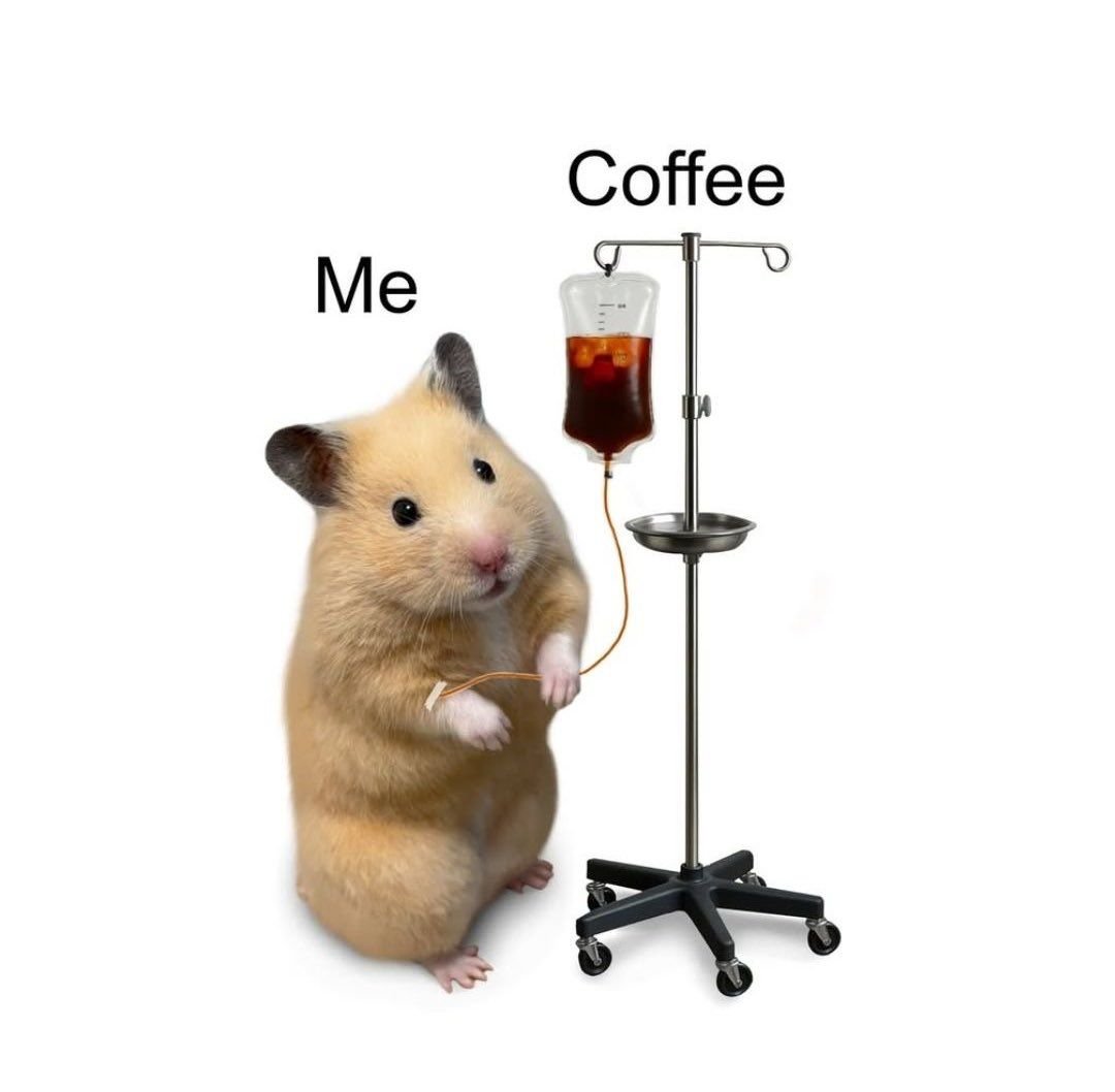_fishyield's tweet photo. Some need coffee to wake up. ☕️
Some need FISH #MTT to feel alive. 🃏

Happy #NationalCoffeeDay! 🎉 https://t.co/aLALKduqMx