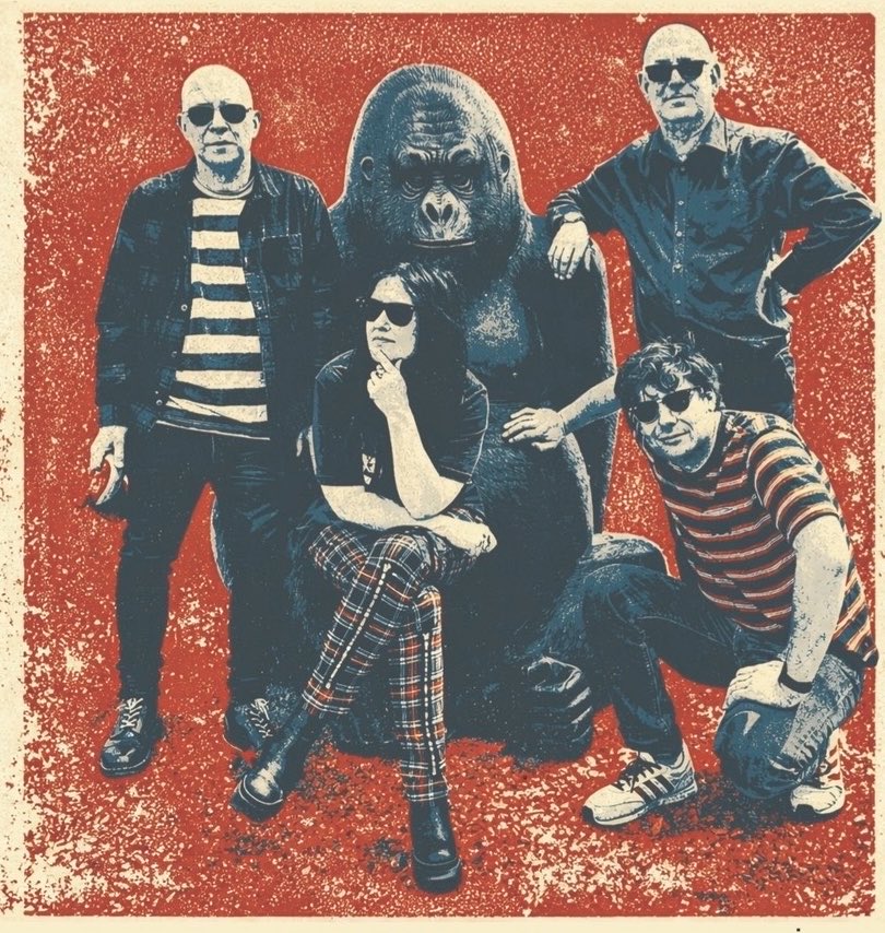 _Nightingales's tweet photo. NIGHTINGALES 2026 REMAINING DATES .. visiting some of our favourite venues in Germany &amp; Austria in two weeks &amp; in November we play a one off date as special guests to Teenage Fanclub in Brum &amp; then over to FC United in Manchester for a pre-match show https://t.co/4MwD9txqWv https://t.co/taC15sWCLu