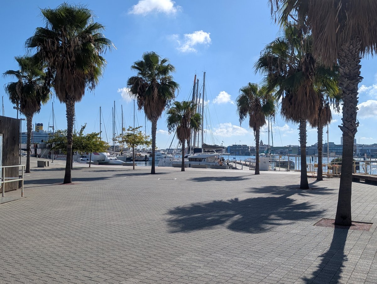 MegwareComputer's tweet photo. What happens when HPC meets Valencia?

Last week, our COO Peter Großöhme joined the @AMD  EPYC™ Innovation Summit 2026 in #Valencia.

Great conversations, valuable insights, and a closer look at the latest AMD EPYC™ developments.

Thanks to AMD for having us! 🤝

#AMD #HPC https://t.co/7QKbyCxU2z
