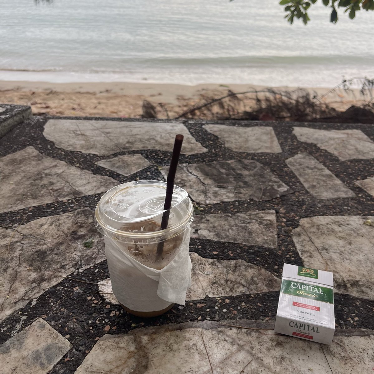 NoPucci's tweet photo. มานั่งเล่นเป็นเพื่อน���น่อย เดี๋ยวเลี้ยงกาแฟ 🤏 #ชลบุรี #ระยอง https://t.co/nRXffelFe1