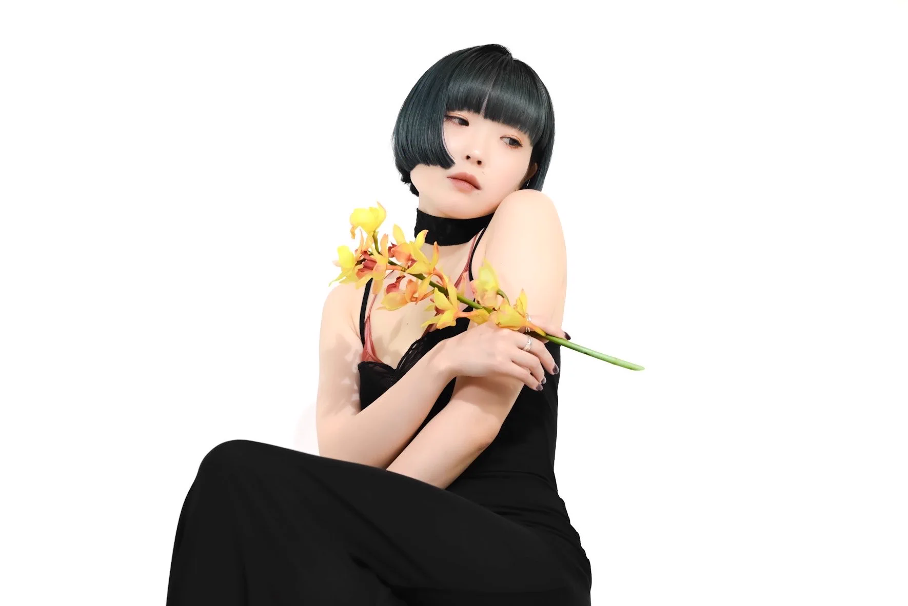 鳥居 れ な