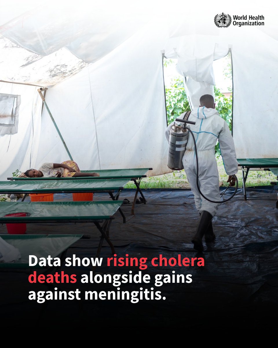 WHO's tweet photo. Cholera deaths increased by 30% in 2025. This marks the highest annual number of cholera deaths reported to WHO since 1999. Seven countries - Angola, Bangladesh, the Democratic Republic of the Congo, Nigeria, South Sudan, Sudan and Yemen - accounted for around 90% of all reported cholera cases and deaths globally.

Data also reveal that vaccination has transformed the fight against meningococcal meningitis, one of the main causes of bacterial meningitis.

Read more: https://t.co/OFcFn4LNnF