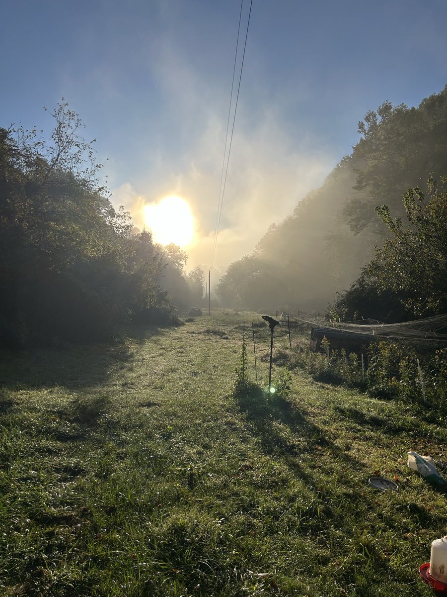 BWay124's tweet photo. The sun is beautiful working off the Smoky Mountains effect.

God is good, and His signs remain ever constant. The sun moves right to left all year as the seasons progress. It rolls directly over the top as the day does. Simple, but at one point it taught us seasons, which gave us crops, and life in abundance.