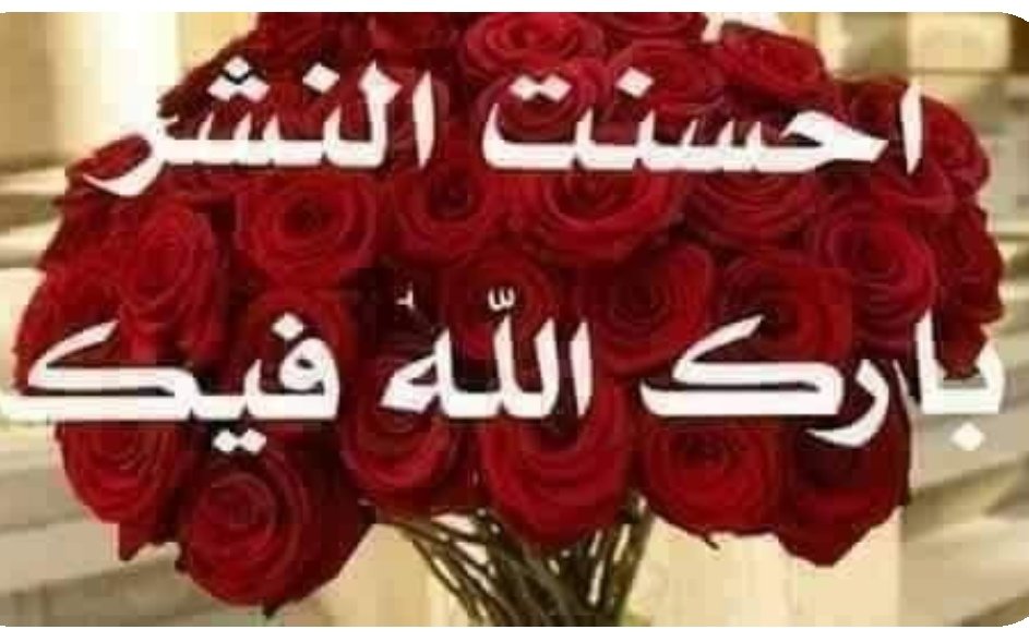 j_khalil_j's tweet photo. @nora19923410577 انتي مفقوده نورا هاي الايام ؟ https://t.co/yzn2Z8jcz4