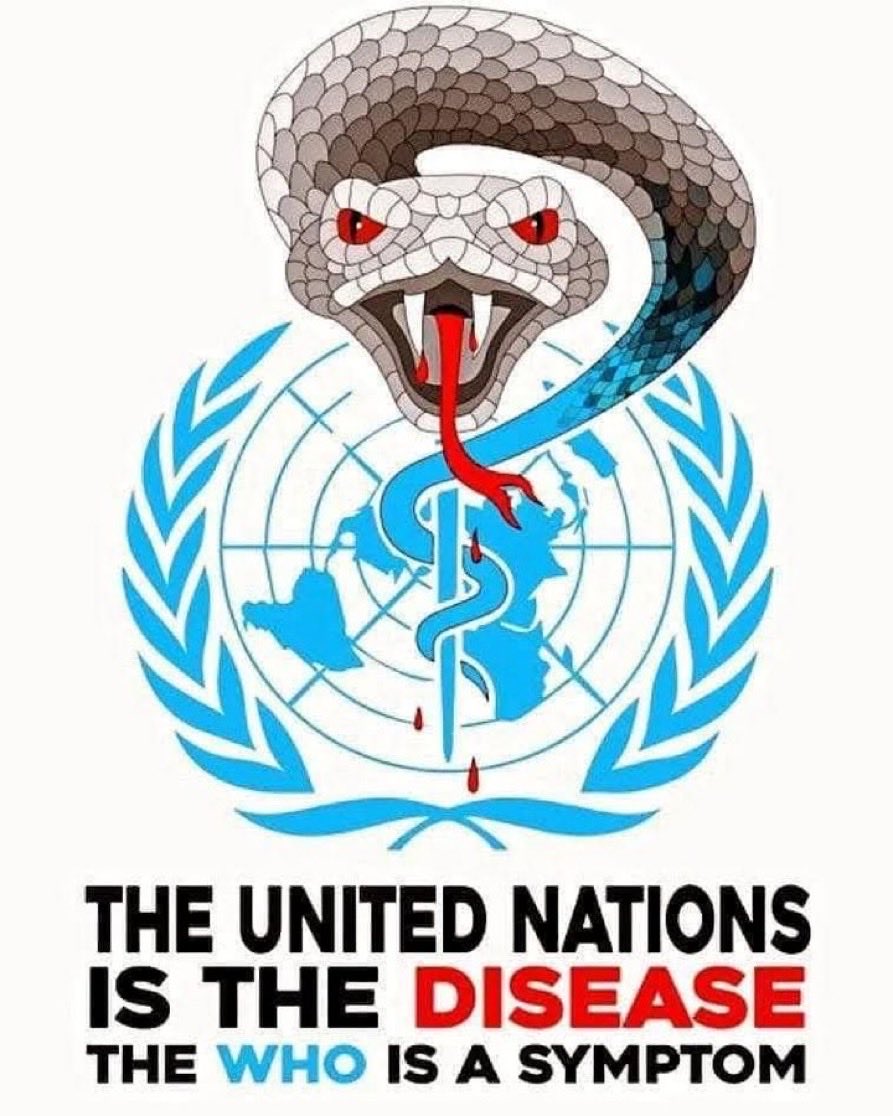 m3th0dm4x's tweet photo. The meaning behind these two parasites‼️🤫

World HOAX Organization &amp; UNinvolved in peace‼️

#WHO #UN #UnitedNations #WorldHealthOrganization https://t.co/4nSaoSwQ32