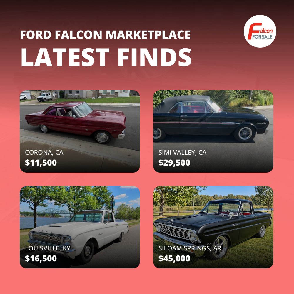 falconforsale's tweet photo. Check out new listings shared daily! Visit https://t.co/of1eeiZ9Ag https://t.co/belJyjQKkU