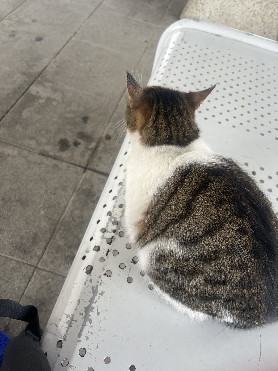 boydakhulya34's tweet photo. Marmaray da tren bekliyen yolcu 😂😂😂 https://t.co/c9pDSXvyFL
