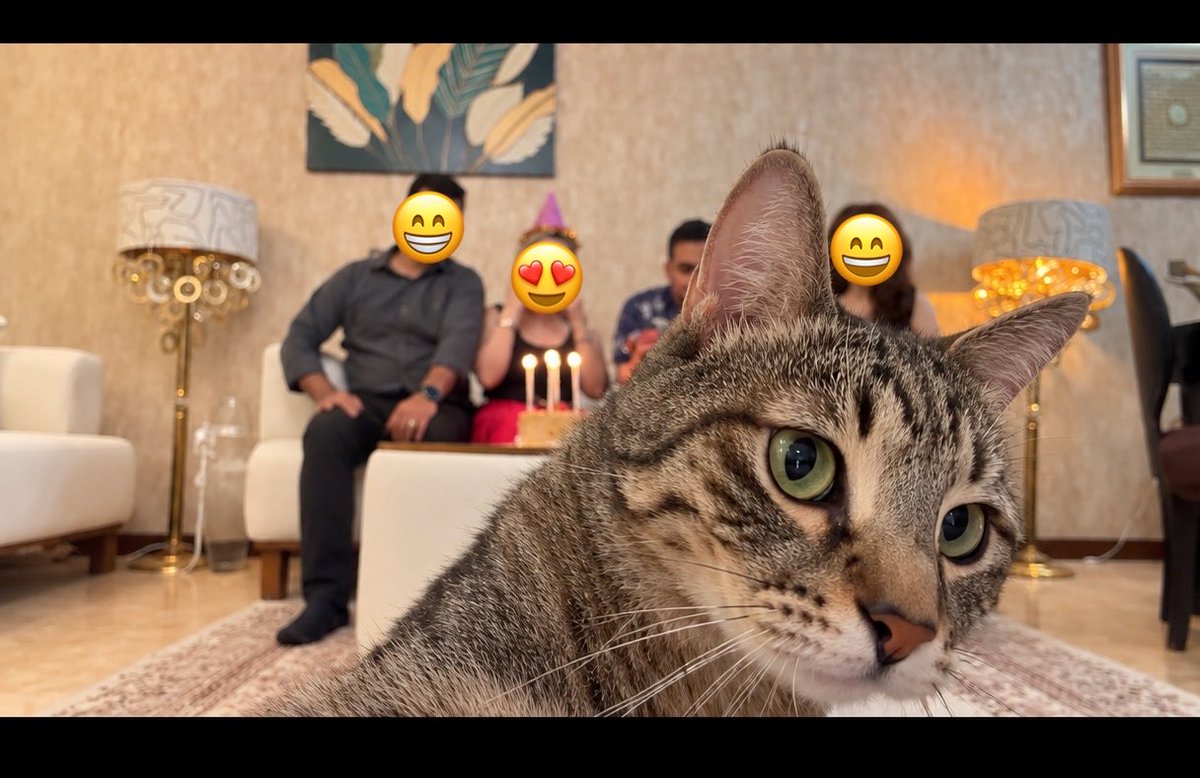 ghazaaleH's tweet photo. بچه‌ها این عکس تولدم معرکه شد 😆
گوشی رو گذاشتیم رو میز و تایمر ۱۰ ثانیه برای عکس!
تا نشستیم ایشون رفت فضولی 😆😆
عاشق این عکس شدم 😍😍 https://t.co/gLTFhiweBl