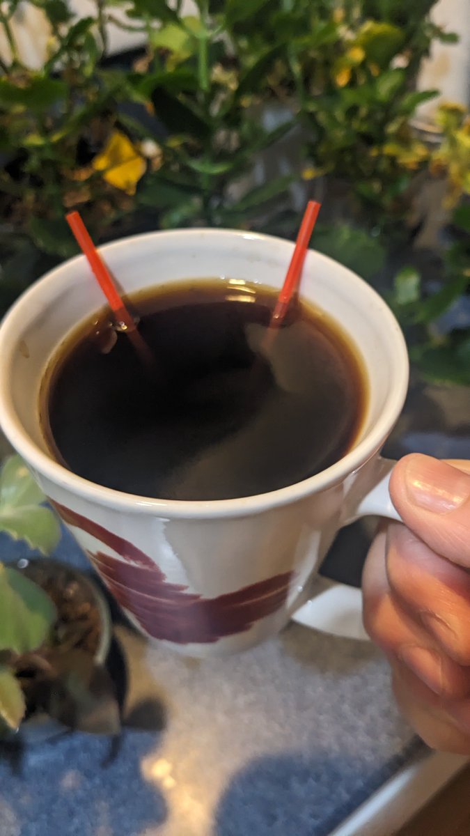 Sminichino1970's tweet photo. Good morning!  Happy #Tuesday #TwoRedStirrers   ☕❤️  My heart has left #Morocco and is heading towards #Brazil. She has 10 days to cross the ocean😊❤️🌊🛳️🧳 Keep making good choices baby girl. I got to text with her last night! ❤️ #SemesterAtSea #SASF26  #ProudMommy https://t.co/gxA11U2IiH