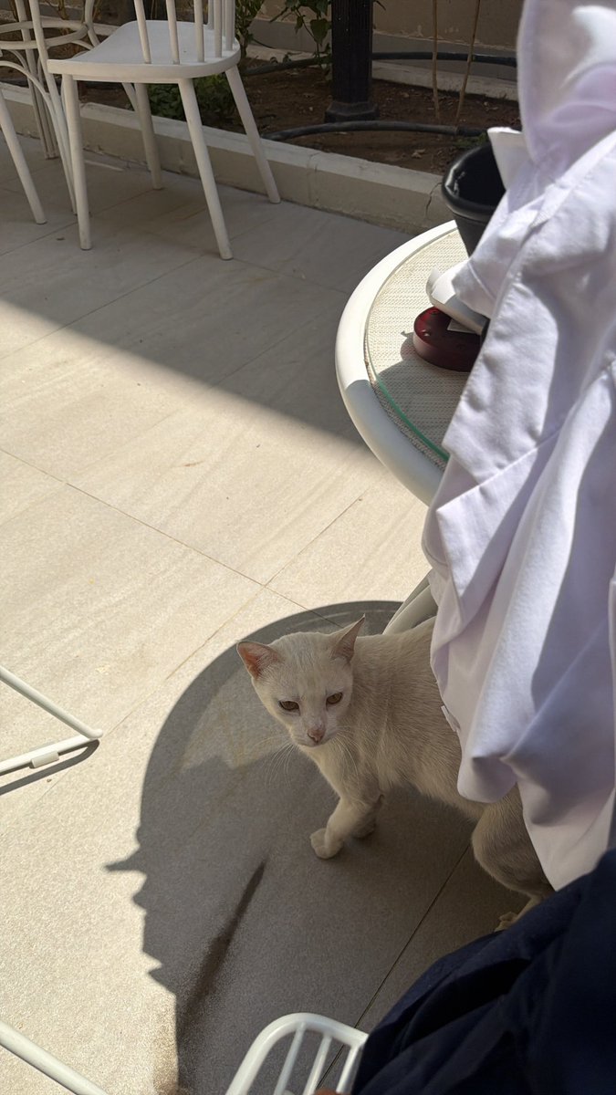 s7ji_o's tweet photo. امببسه https://t.co/6aqh5mwy1t