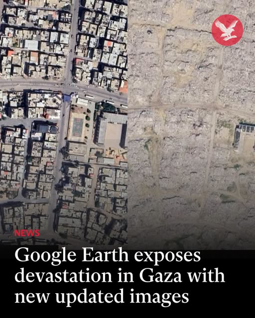 LilyFayed's tweet photo. Retweet please. https://t.co/dgciOYGeVi