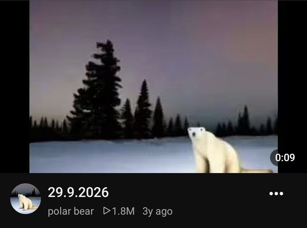 illerify's tweet photo. Happy Polar bear day https://t.co/FTAtfWtdYn