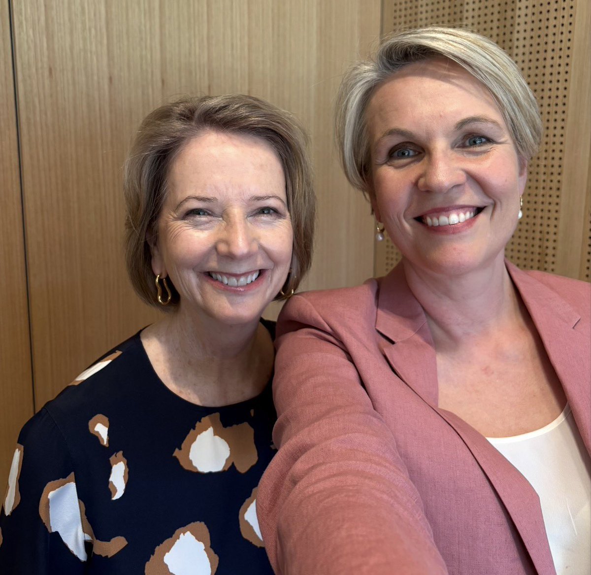 naniayourbusine's tweet photo. One destroyed womens rights and gave us a carbon tax , the other one married a convicted heroin dealer and then got him a job in parliament 
@OneNewsAu 
@OneNationAus 
@karlstefanovic 
@BenFordhamLive https://t.co/K5oyrKn0oe