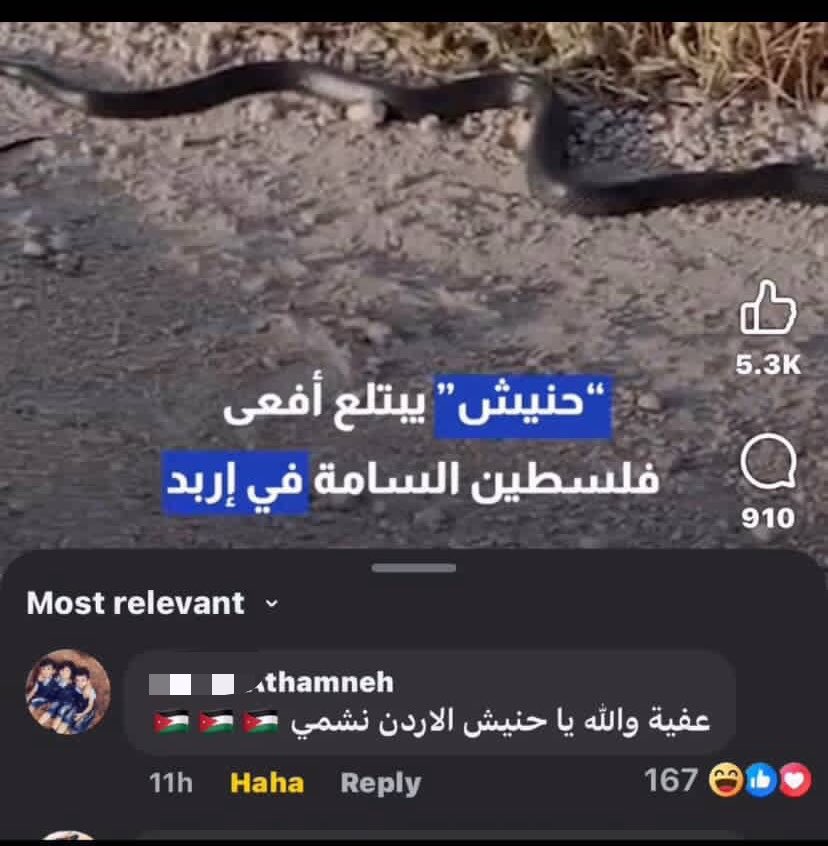 sw7oo's tweet photo. السنويه نزلت https://t.co/X3CEuSDQke