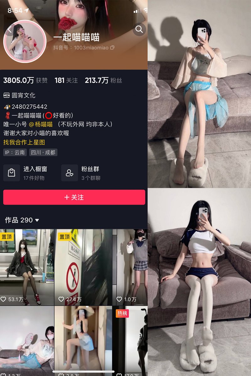 taxi_arc's tweet photo. 一起喵喵喵 今天的日常带来一点轻松感 创作者更新 看更多点链接 https://t.co/YoGkVgzjCu https://t.co/He4QX3hAsA