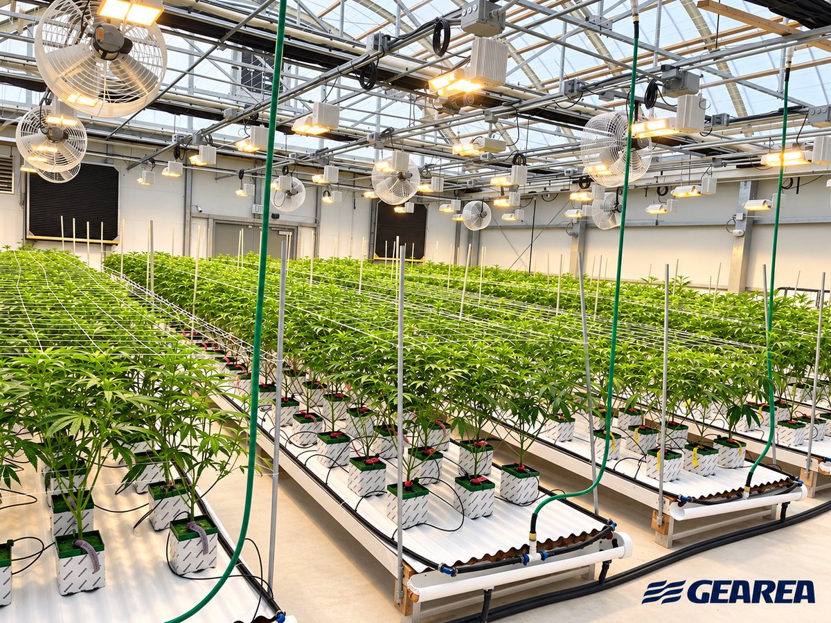 Gearea_Climate's tweet photo. Multiple Gearea CEA projects are moving forward overseas. 🌱
Our factory-integrated systems combine cooling, dehumidification, air treatment and controls for:
✅Less on-site installation✅Faster deployment
✅Precise climate control✅Energy-efficient operation
#PlantFactory #HVAC https://t.co/DsBe8FiPkV