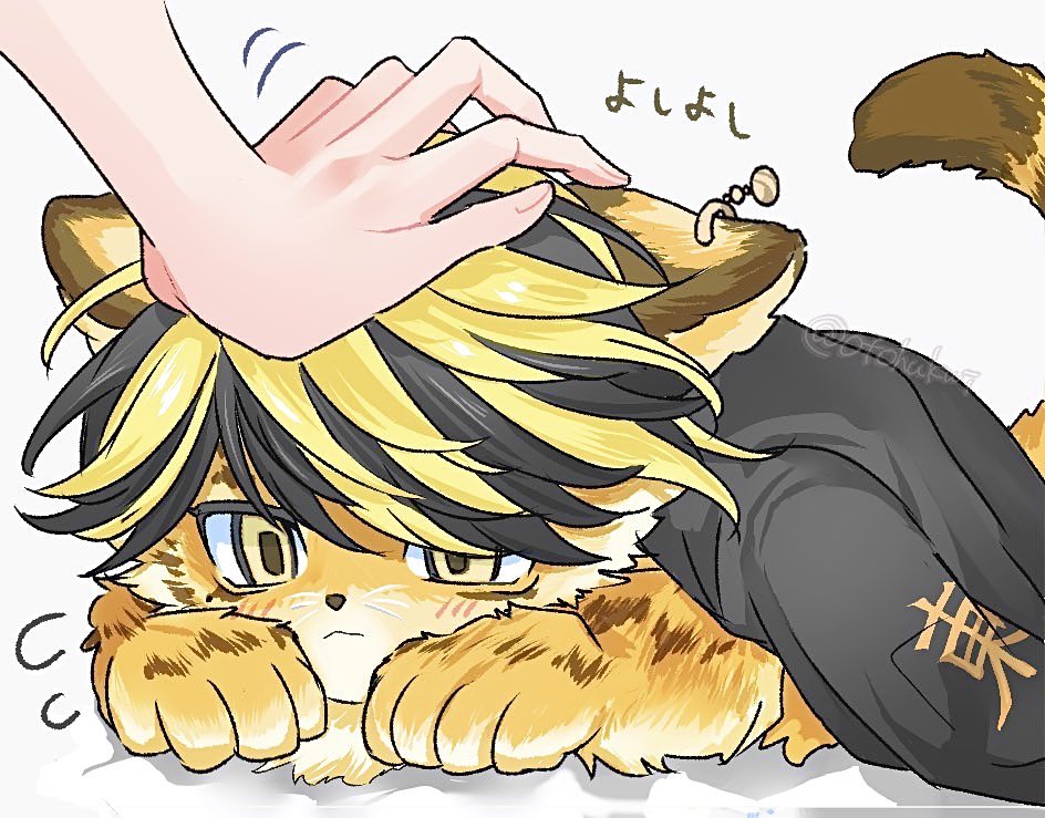otohukwi's tweet photo. 撫でたい-  ̫- https://t.co/gXh28YZ3FT