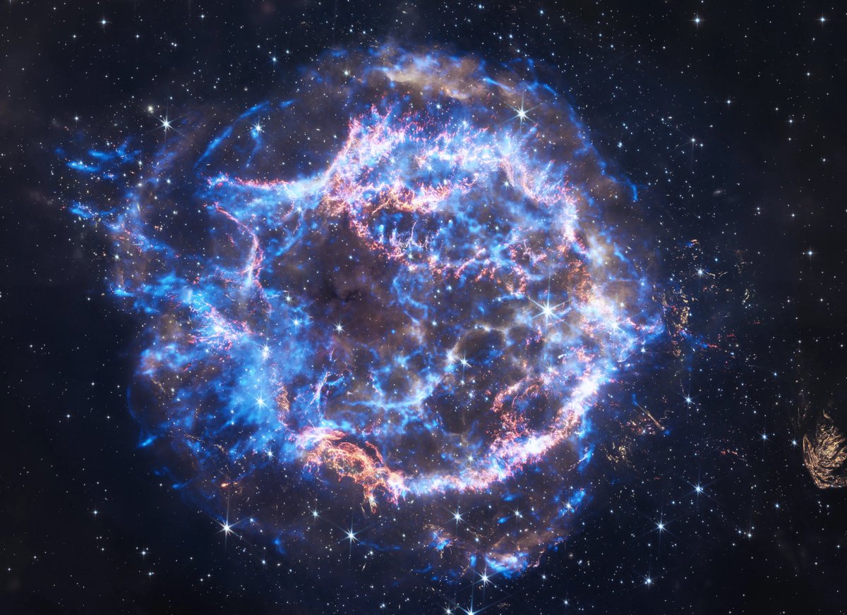 saiph1324's tweet photo. 별의 가장 아름다운 순간이라고 여겨지는 별이 죽는 모습들. https://t.co/GnZ7A5oxGn