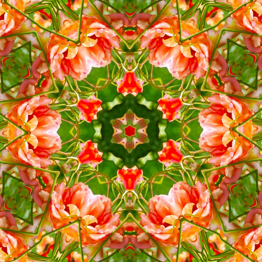 GoetterfunkenDE's tweet photo. From the art series „Götterfunken (Nature Mandalas)“
#Götterfunken #NatureMandalas #SparkOfTheGods #Art #Photography #DigitalArt #PureNature #Flowers #Plants #Meditation #Yoga #Peace #Freedom #InwardReflection #Sacred #Life #Creation #Gaia #PrimordialSource #Love #Iam https://t.co/ceCGbquTAK