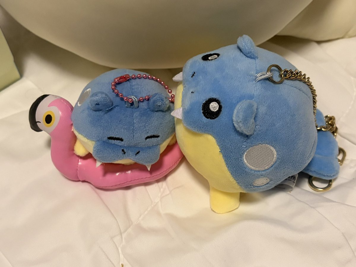 hungry_kirby's tweet photo. 韓国のタマザラシをお迎えしました🦭🛟 https://t.co/sJeBKlF7cp