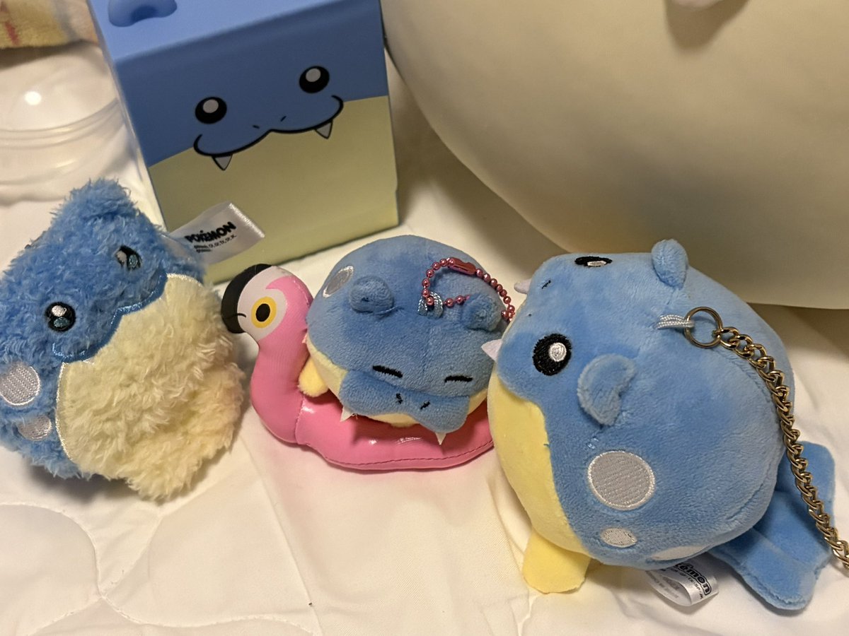 hungry_kirby's tweet photo. 韓国のタマザラシをお迎えしました🦭🛟 https://t.co/sJeBKlF7cp