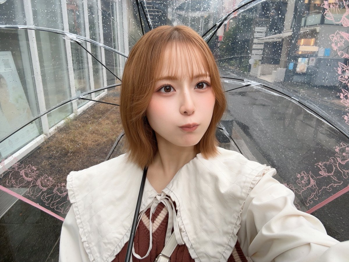 hoshino_kii's tweet photo. マリーちゃんの傘！！

360度マリーちゃんに囲まれてんの🐈💓 https://t.co/PfoeXp6ovf
