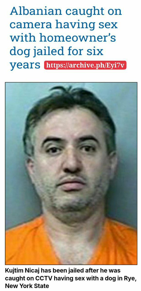 MacTier_'s tweet photo. @ryan_gosling_03 Out of your 4 articles 3 are the same just from different outlets and it's an old debunked sensationalist story. The only real one is the N1 article and it's most likely a gypsy (10% of the population) whose people are known to be animal abusers, like their Albanian cousins. https://t.co/2w8NAgVVz4