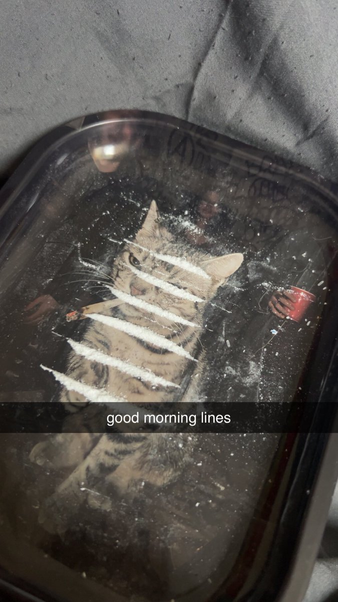 kettyvamp's tweet photo. sniffed them all in 2 minute intervals 😛 #ketwt #kettwt #drugtwt https://t.co/yVW5IQ3TJm